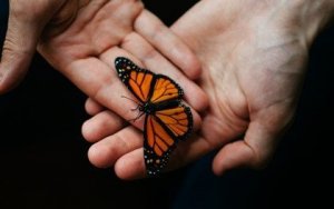 Terapeutisk akkompagnement: Et uundværligt værktøj