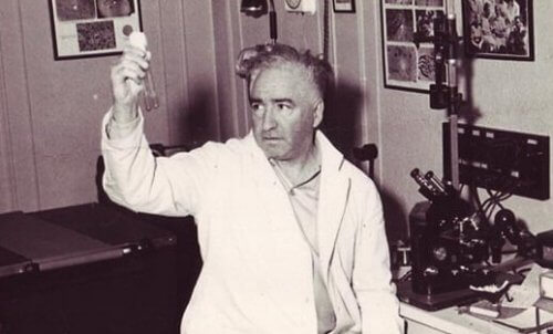 Wilhelm Reich holder to reagensglas