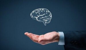 De 6 gyldne regler ved simpel intelligens