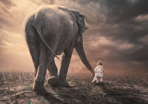 En elefant og et barn går sammen