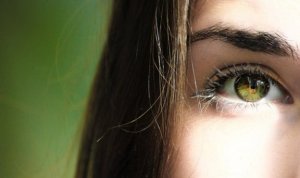 Flynn effekten og hvorfor vi bliver mere intelligente