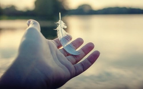 en fjer flyver væk fra hånd