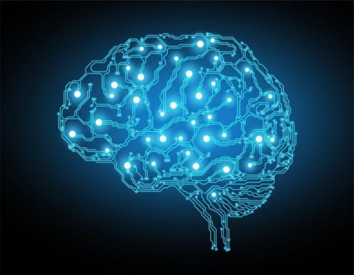 Blå lys i hjernen illustrerer udøvende funktioner