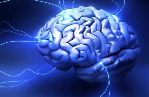 En hjerne med blå lys illustrerer reptilhjernen
