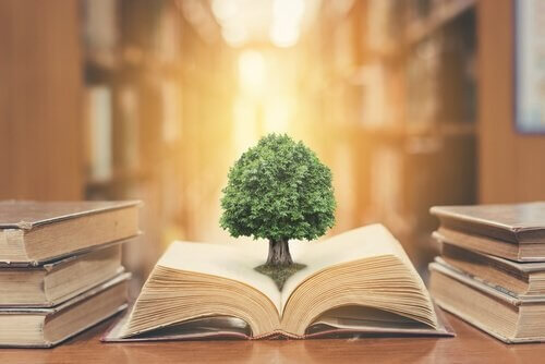 Træ, der vokser ud af en bog