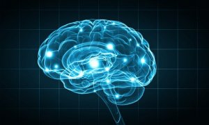Forskningsmetoder i biopsykologi