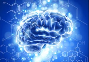 Neuroetik: Egenskaber og udvikling