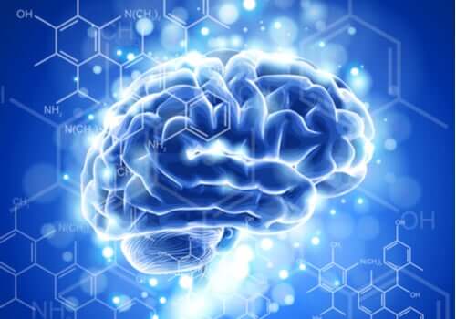 Neuroetik: Egenskaber og udvikling