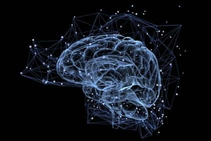 Forbindelser i den menneskelige hjerne som en del af Human Connectome Project