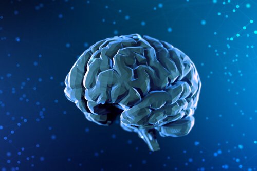 En digital illustration af hjernen symboliserer neurovidenskab