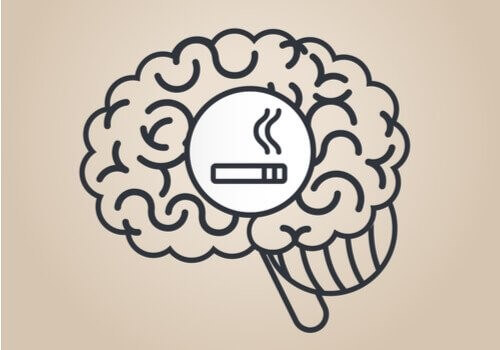 Nikotin: Hvordan påvirker det hjernen?