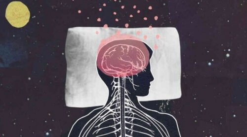 en illustration der viser, at hjernen aldrig sover
