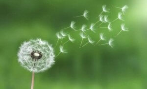 Brug loven om mindst indsats til at håndtere stress