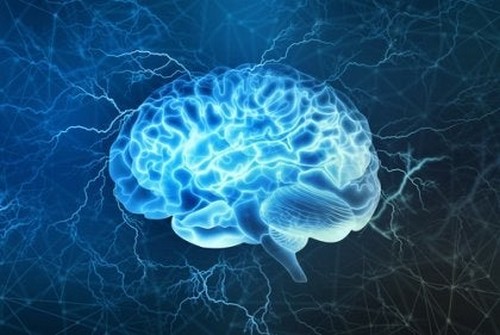 Billede af blå hjerne 