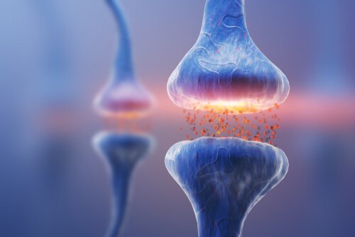 Typer af synapser: Neural kommunikation