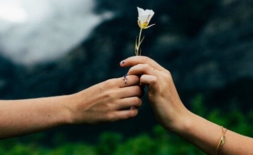 To hænder, der begge vil tage rose, illustrerer selviskhed i kærlighed