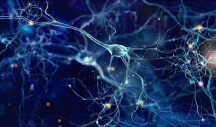 En gruppe af neuroner under søvn