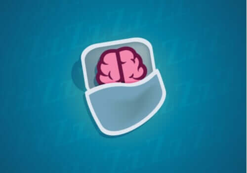 Hvad sker der med vores neuroner under søvn?