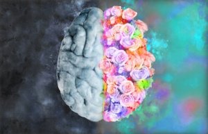 Neuroæstetik: Når neurologi og kunst mødes
