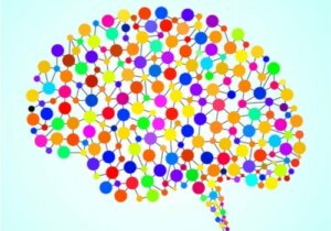 97 tidligere ukendte områder i hjernen