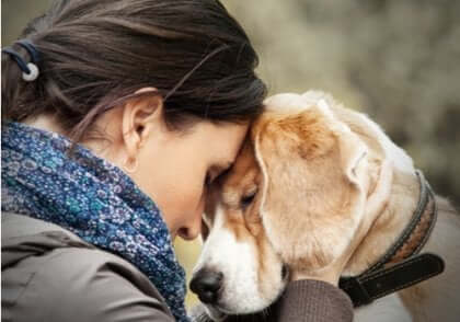 Kvinde med pande mod hunds pande viser vigtigheden af terapihunde til personer med borderline