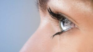 EMDR terapi og mindfulness kan hele PTSD