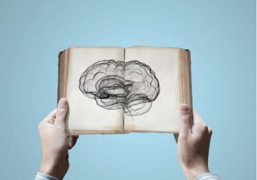 Neurovidenskab: Kan du arve viden?