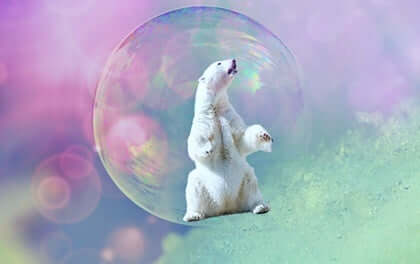 At leve et kreativt livt: Isbjørn i bobble