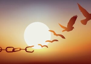 Hvad er formålet med kaution?