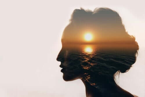 En oversigt over en kvindes hoved, hvor solen gå ned indeni