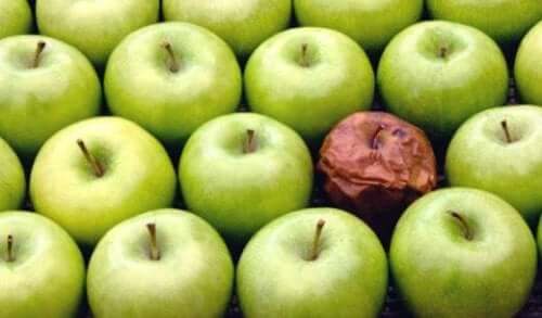 Teorien om det rådne æble på arbejdspladsen