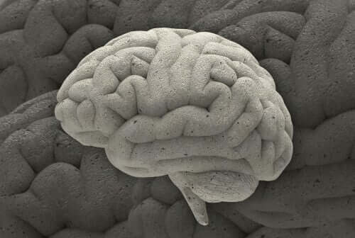 Tre fascinerende cases indenfor hjerneforskning