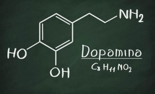 Dopamin er blandt de forskellige typer af monoaminer 