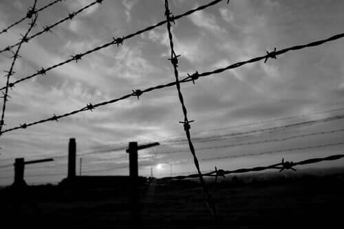 Hegn om koncentrationslejr