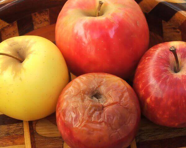 Råddent æble blandt friske æbler symboliserer det rådne æble på arbejdspladsen