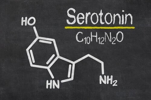 Serotonin er en monoamin 