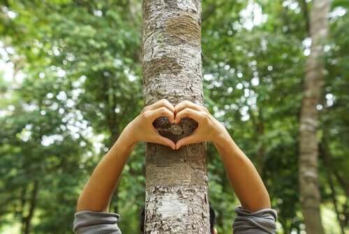 Person laver hjerte foran træ som symbol for ønsket om et bedre miljø