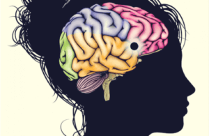 Nucleus accumbens: Læring, motivation og lykke
