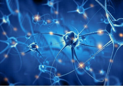 neuroner