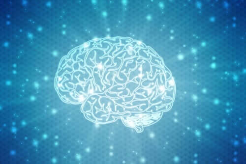 Myter indenfor hjerneforskning