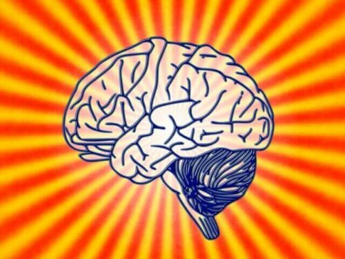 Hvad handler adfærdsmæssig neurovidenskab om?