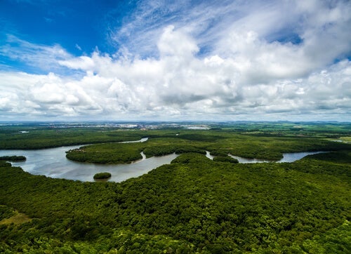 Levi-Strauss var på mange ekspeditioner i Amazonas