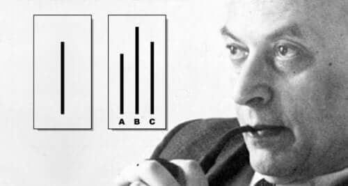 portræt af Solomon Asch