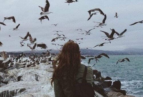 Kvinde ser på fugle over hav