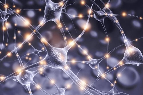 Konnektionism og neuroner