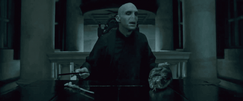 Voldemorts liv minder meget om Harrys 