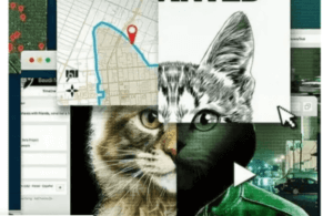Don't fuck with cats: Hunting an internet killer
