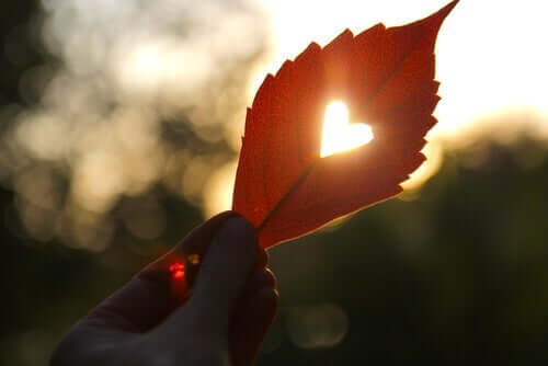 Hjerte i et blad