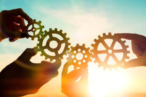 Menneskelig udvikling - Karakteristika