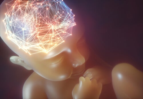 babys hjerne med lys i illustrerer neural synkronisering